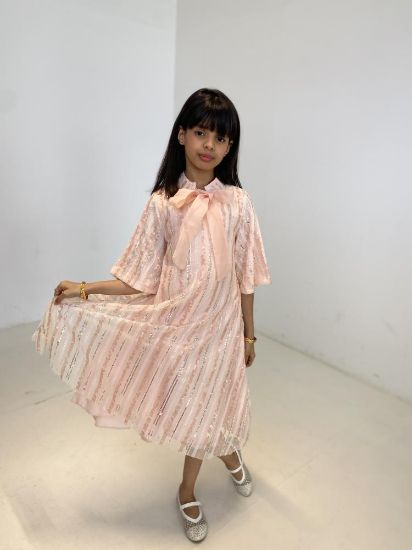 صورة فستان لحمي مع فينكه انيقه على الصدر وترتر على الفستان